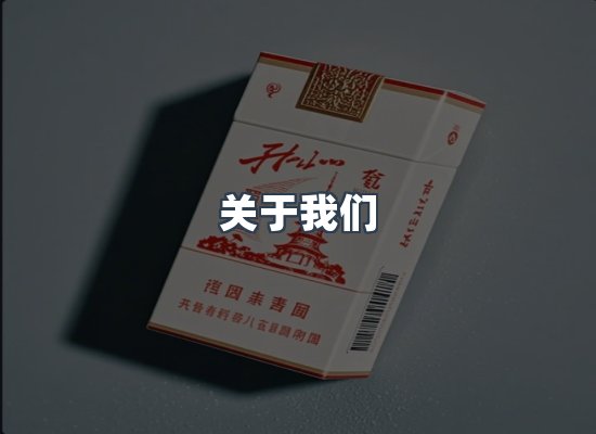 专业团队